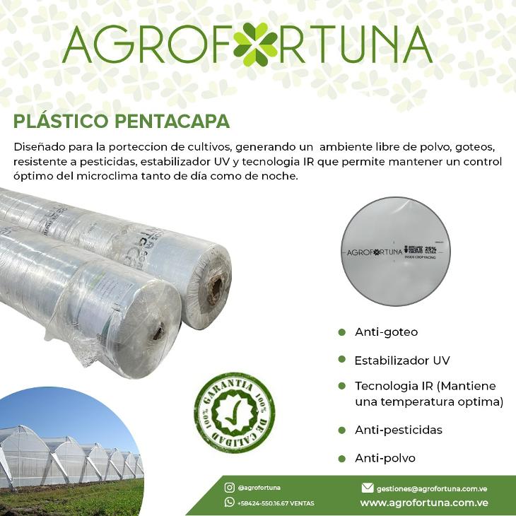 PLASTICO PENTACAPA P/INVERNADERO MED. 7,3*100Mtrs